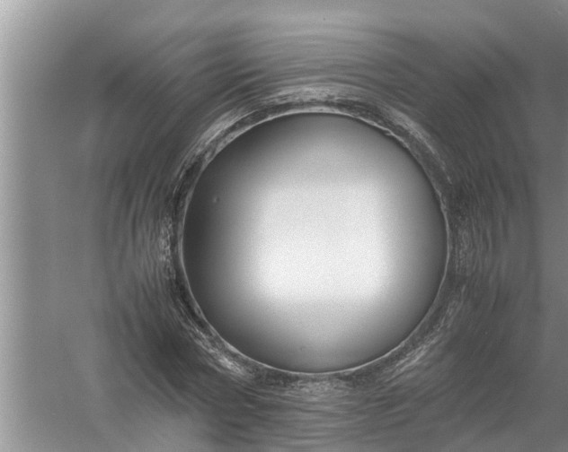 X0000058130778200510072004