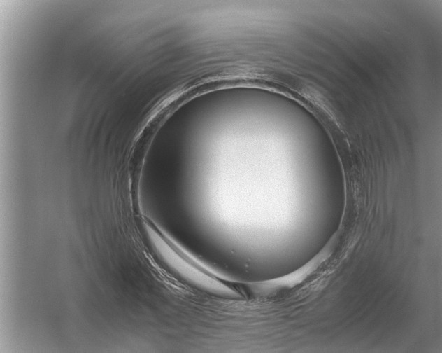 X0000058130781200510072004