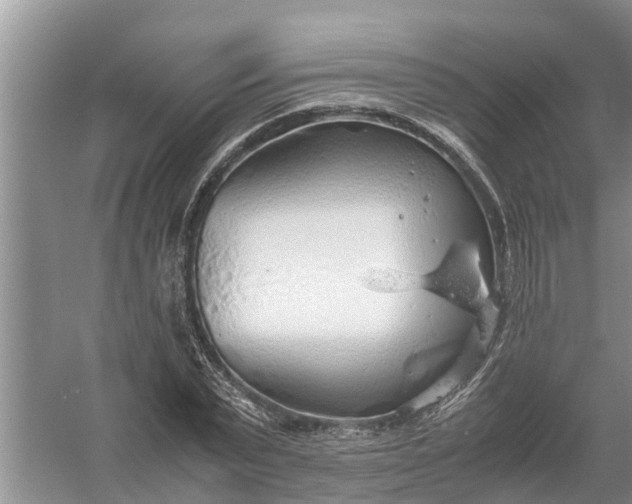 X0000058130783200510072004