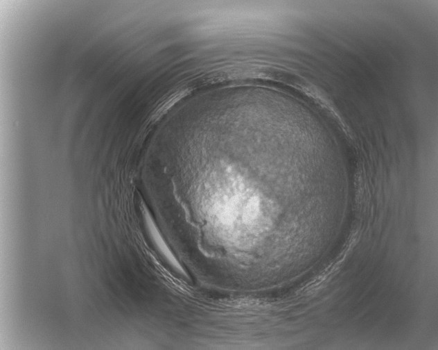 X0000058130785200510072004