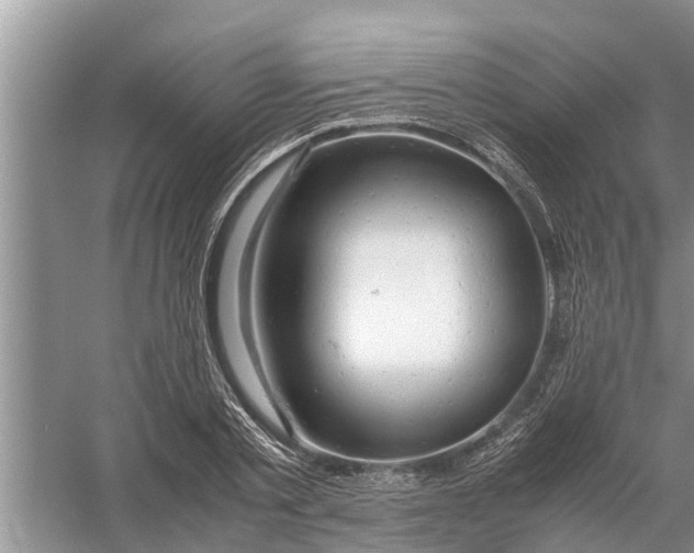 X0000058130789200510072004