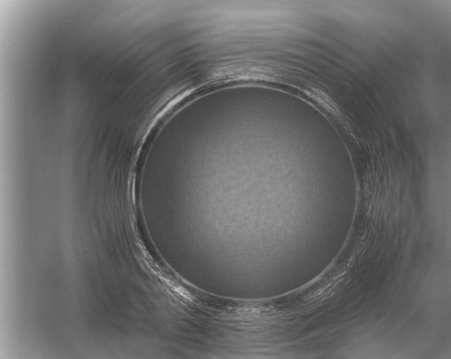 X0000058130790200510072004