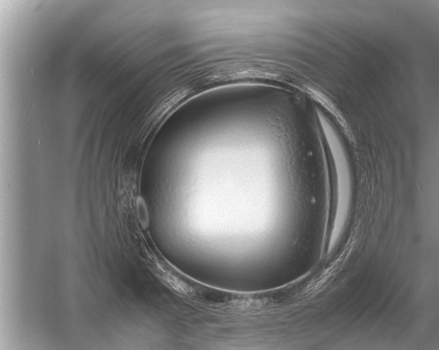 X0000058130793200510072004