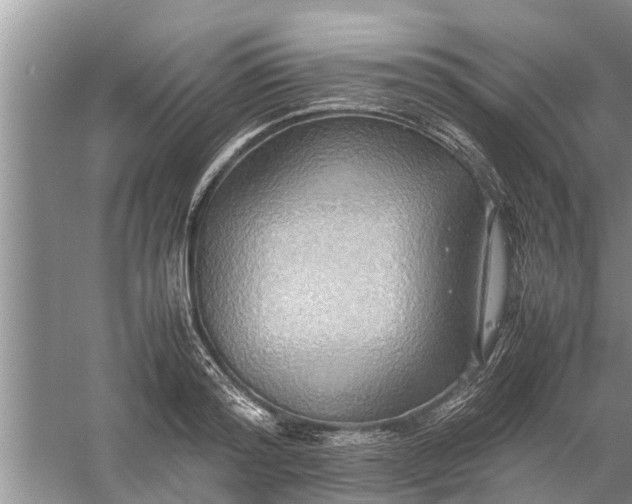 X0000058130796200510072004