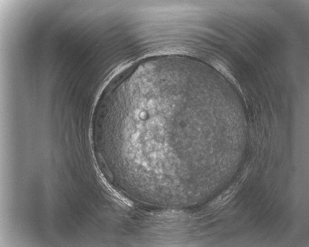 X0000058130797200510072004