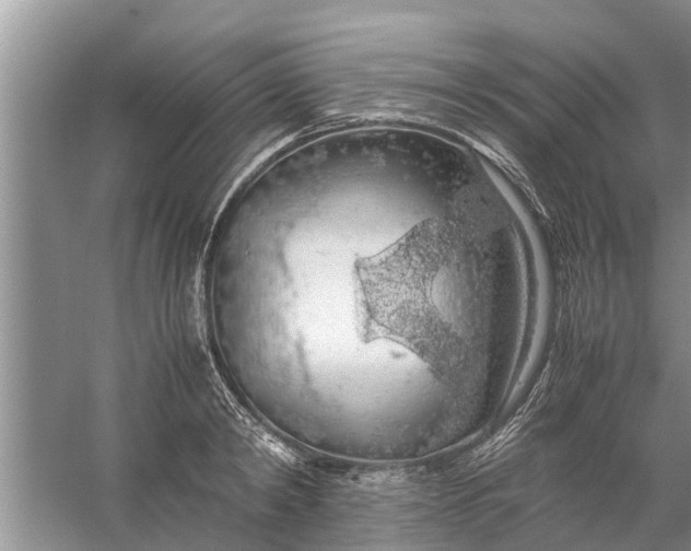 X0000058130798200510072004