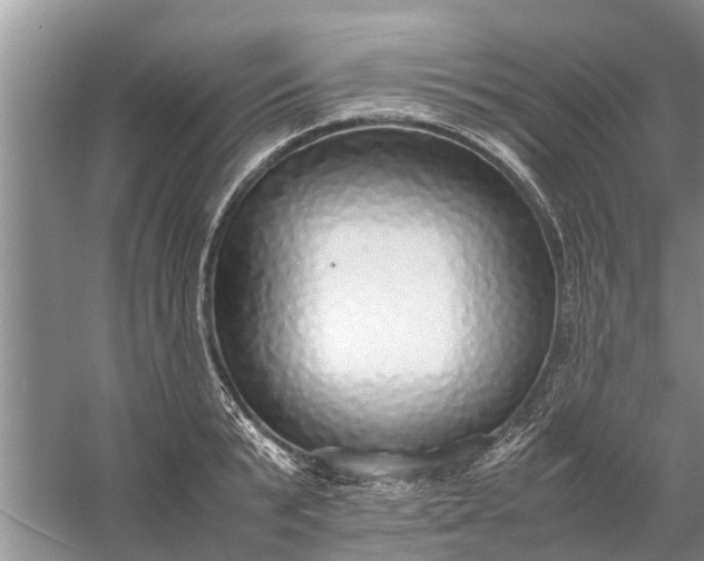 X0000058130799200510072004