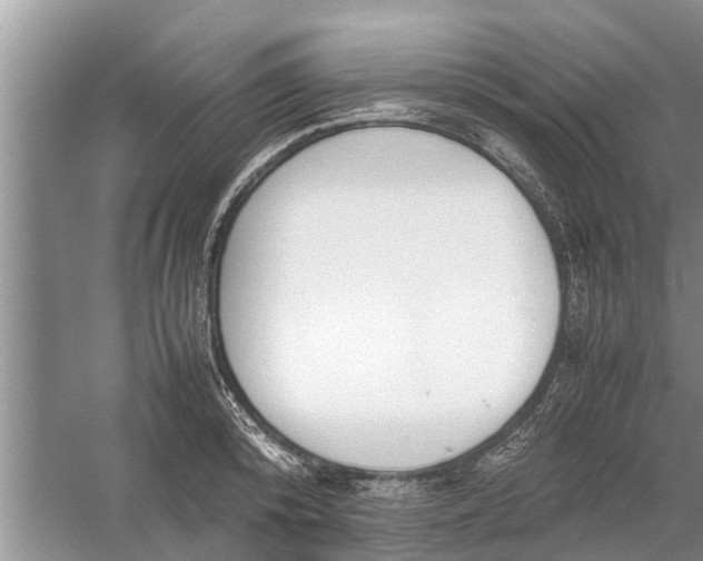 X0000058130800200510072004