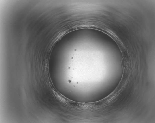 X0000058130801200510072004