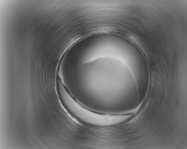 X0000058130802200510072004