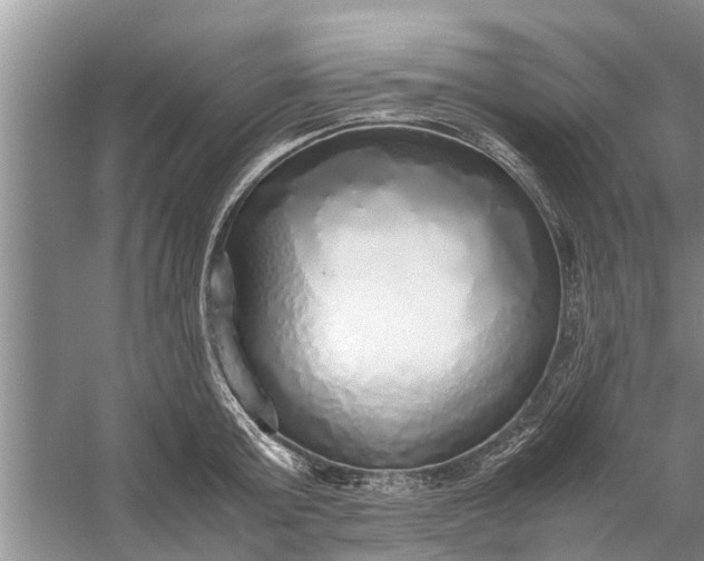 X0000058130803200510072004