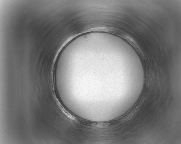 X0000058130808200510072004