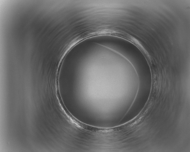 X0000058130810200510072004