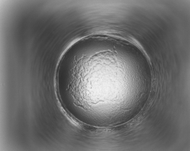 X0000058130811200510072004