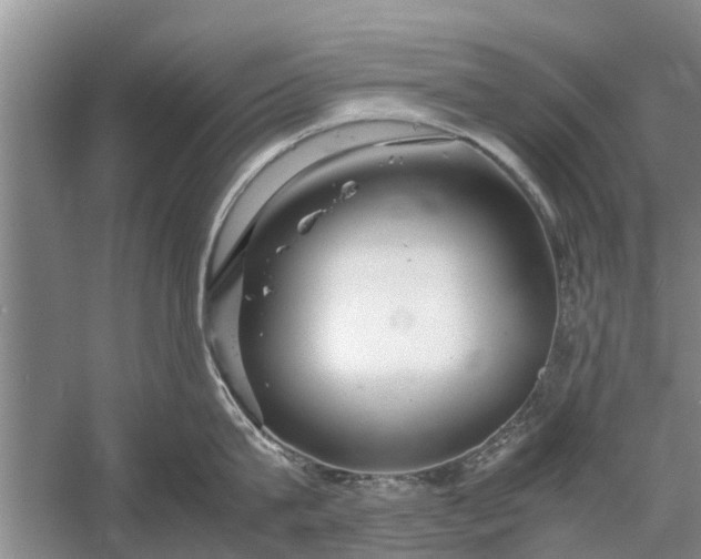 X0000058130815200510072003