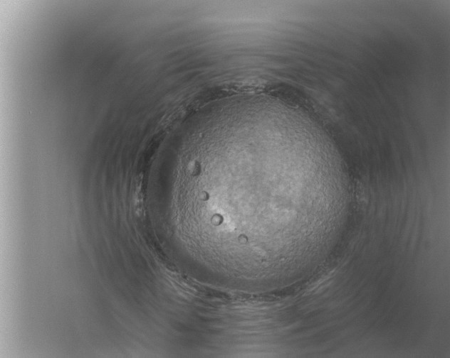 X0000058130818200510072003