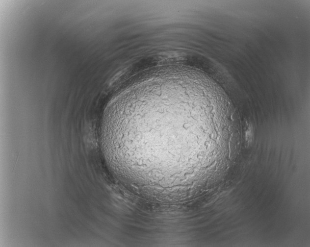 X0000058130819200510072003