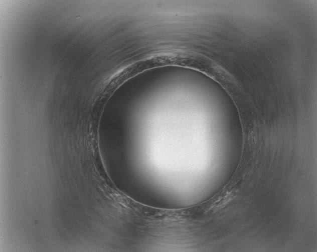 X0000058130822200510072003