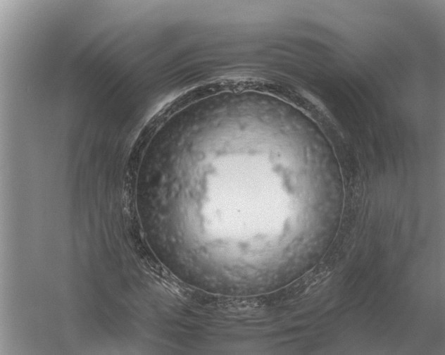 X0000058130823200510072003