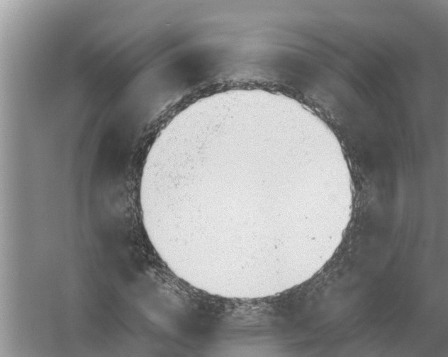 X0000058130824200510072003