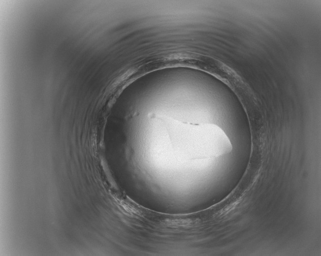 X0000058130825200510072003