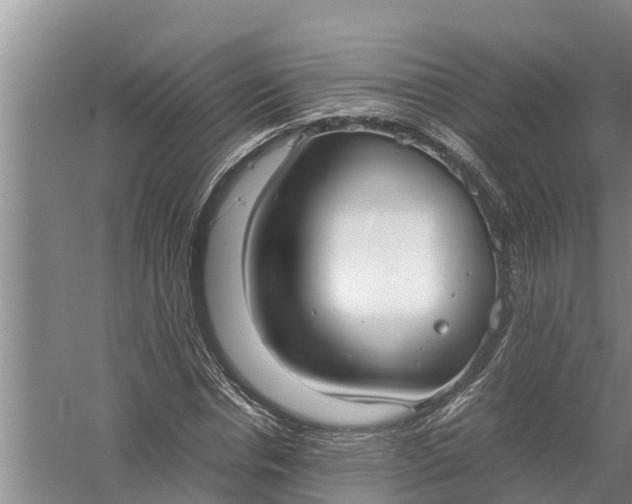 X0000058130826200510072003