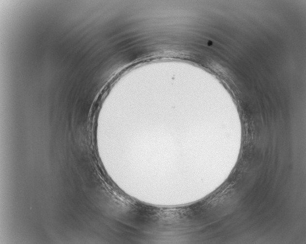 X0000058130828200510072003