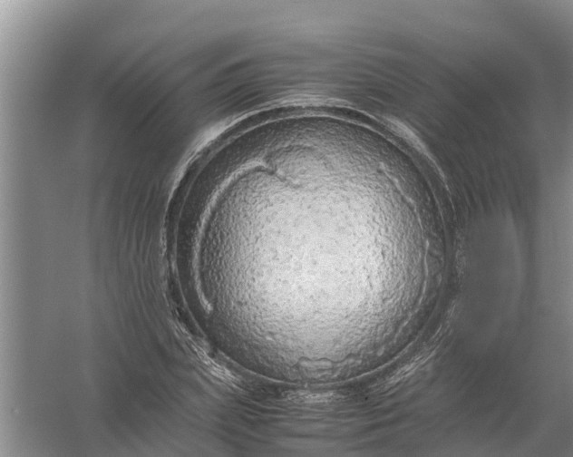 X0000058130831200510072003