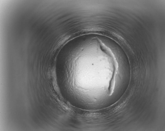 X0000058130833200510072003