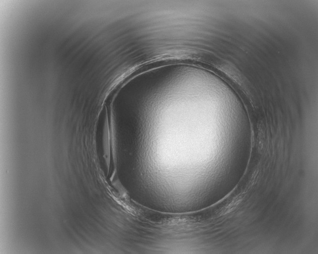 X0000058130834200510072003