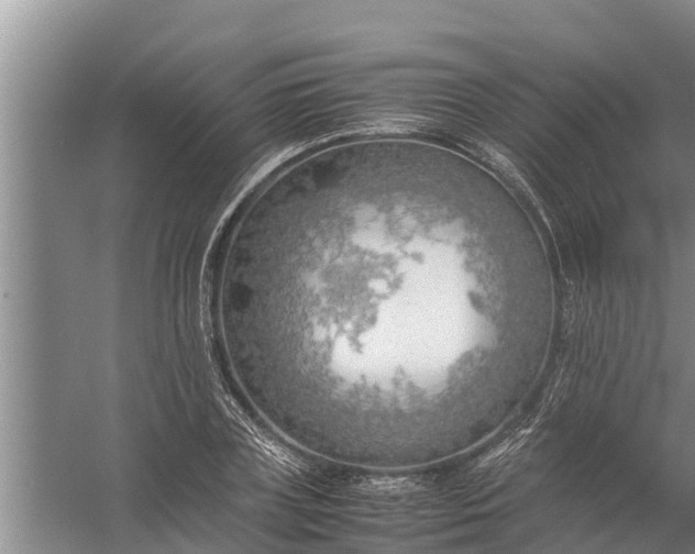 X0000058130835200510072003