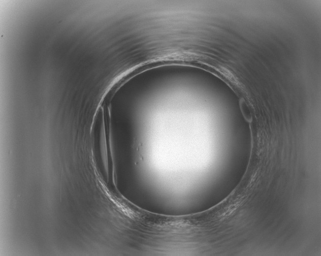 X0000058130838200510072003