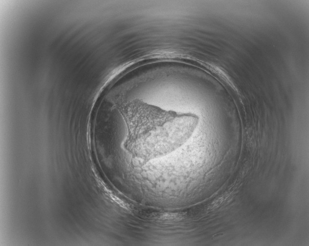 X0000058130839200510072003