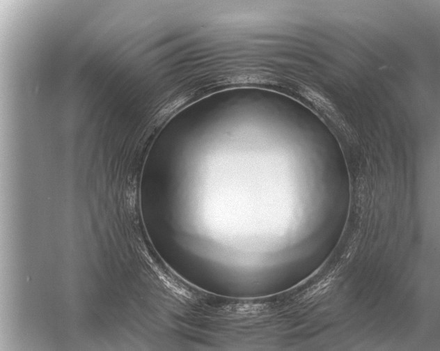 X0000058130841200510072003