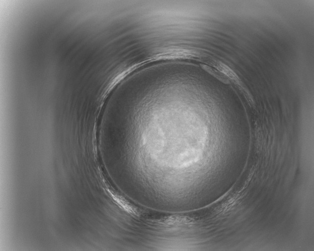 X0000058130842200510072003