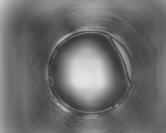 X0000058130846200510072003