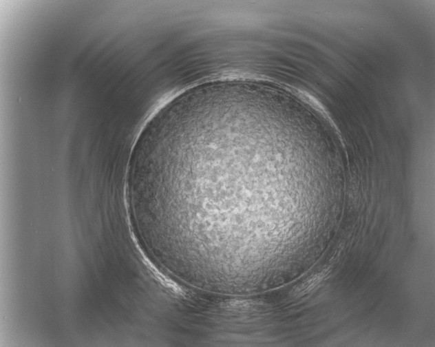 X0000058130847200510072003