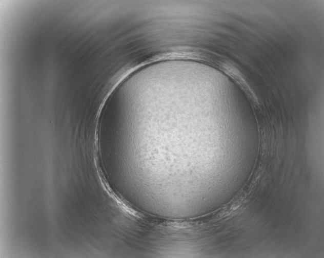 X0000058130852200510072003