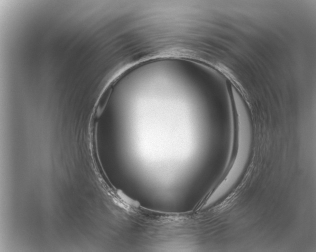 X0000058130854200510072003