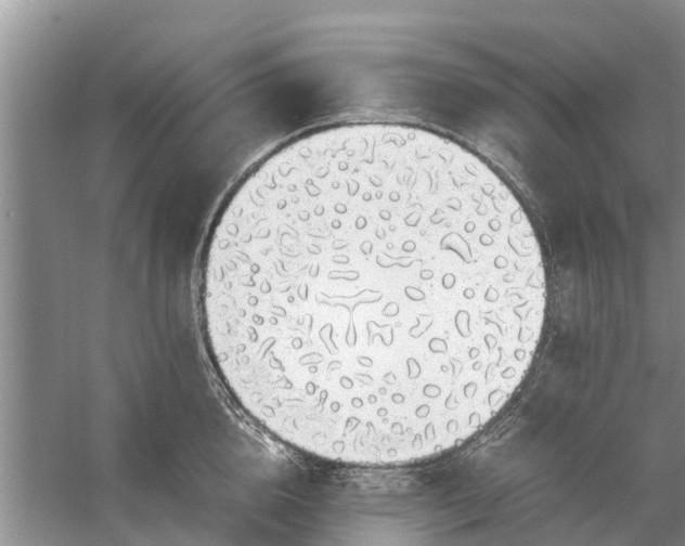 X0000058130856200510072003