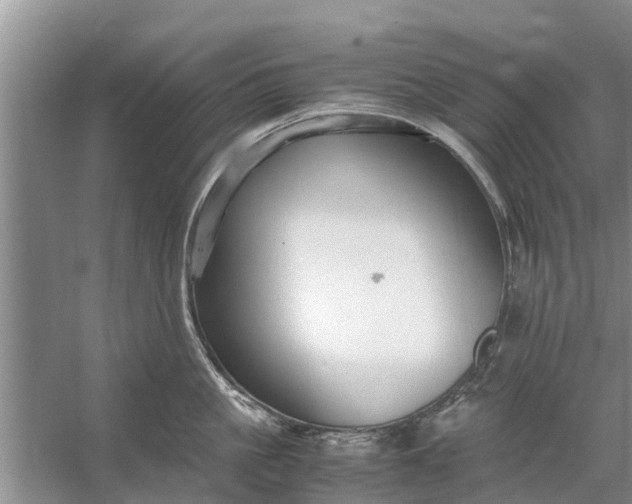 X0000058130861200510072003