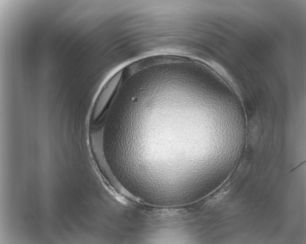 X0000058130862200510072003