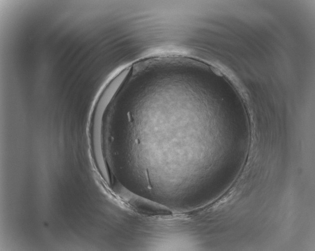 X0000058130864200510072003