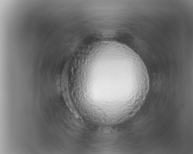 X0000058130866200510072003