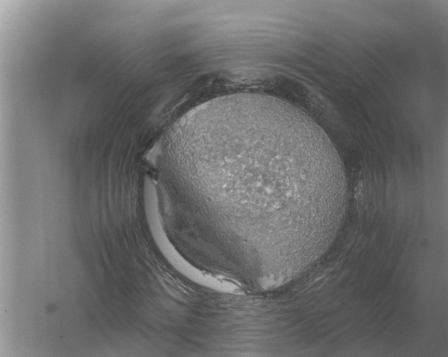 X0000058130868200510072003