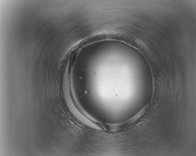 X0000058130872200510072002