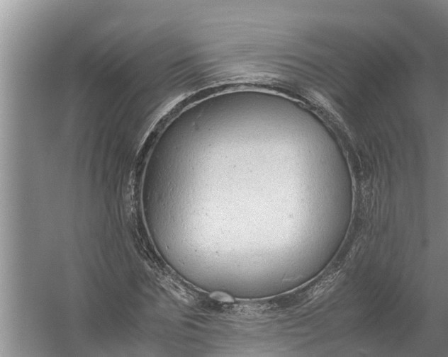 X0000058130875200510072002