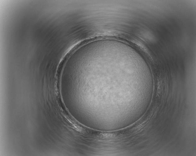 X0000058130878200510072002