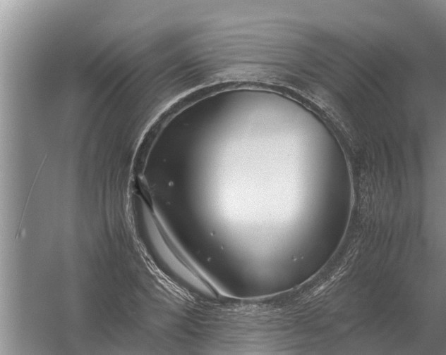 X0000058130880200510072002