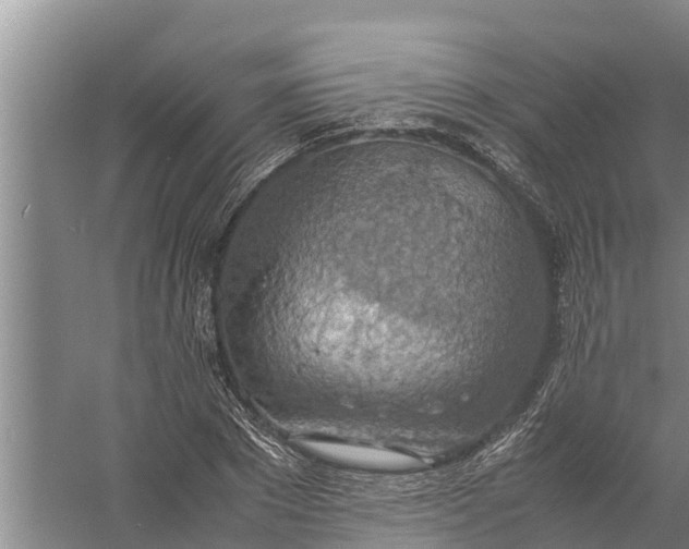 X0000058130881200510072002